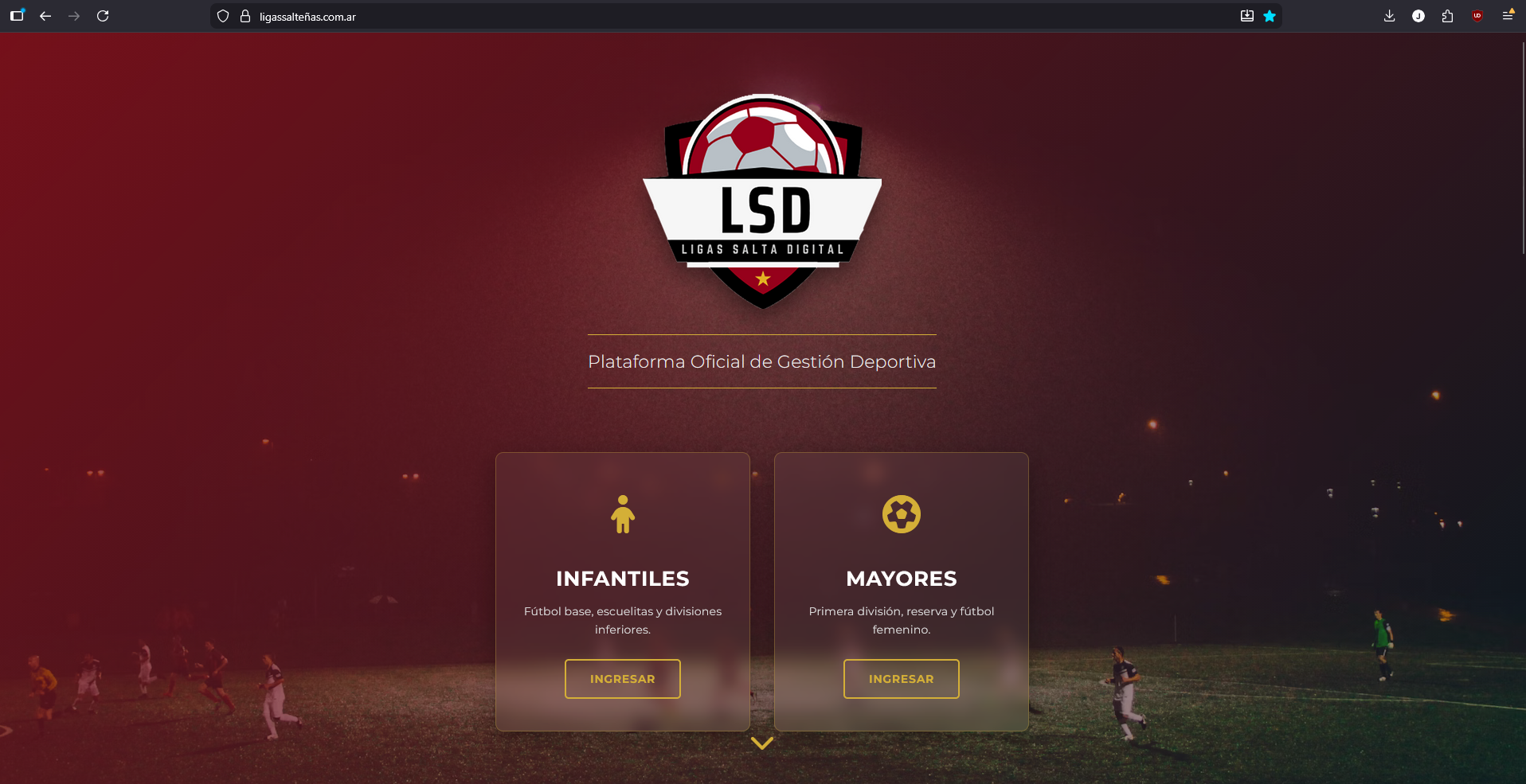 Ligas Salteñas Amateurs — SaaS Deportivo